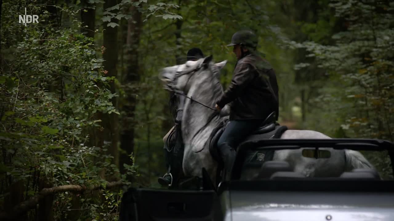 Die vermisste Frau 2016 GERMAN WEBRip x264