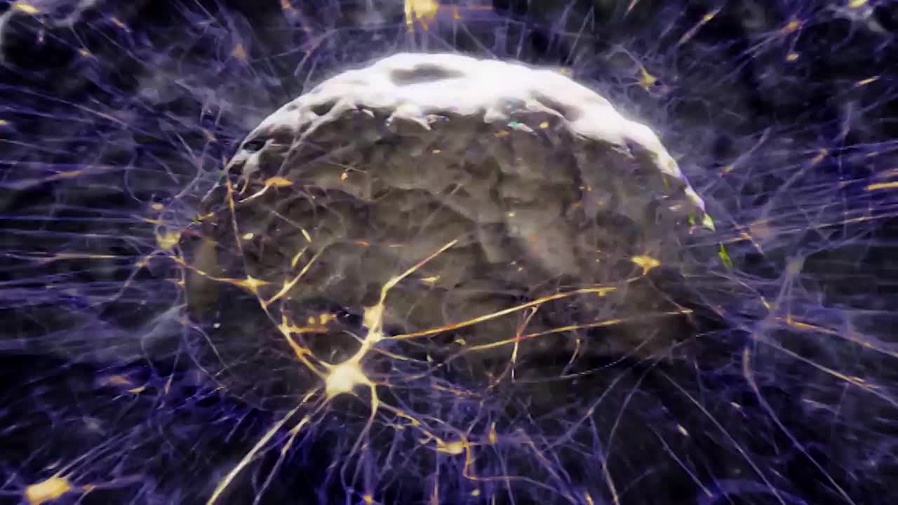 The Most Bizarre Neurological Conditions You Never Heard Of