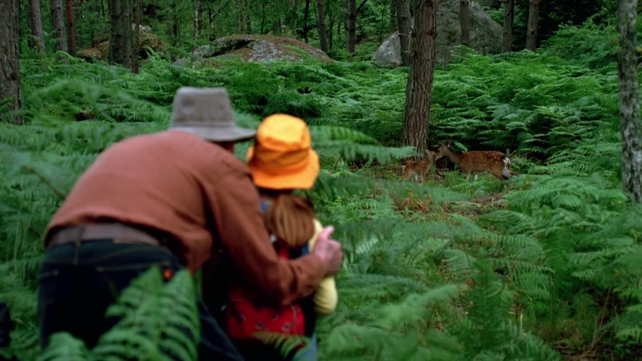 Le Papillon 2002 FRENCH 1080p WEBRip x264 AAC-YTS MX