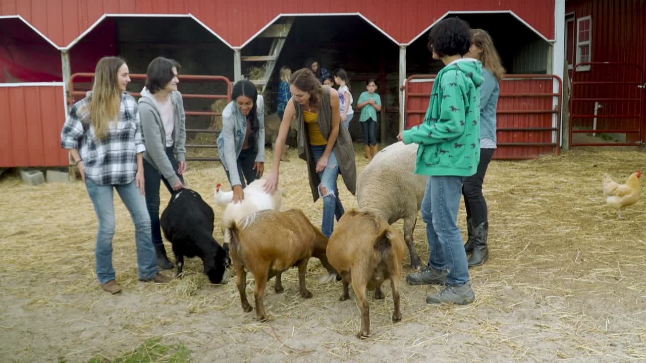 ⁣Horse Camp 2 A Love Tail 2020 1080p BluRay x264 AAC5 1-