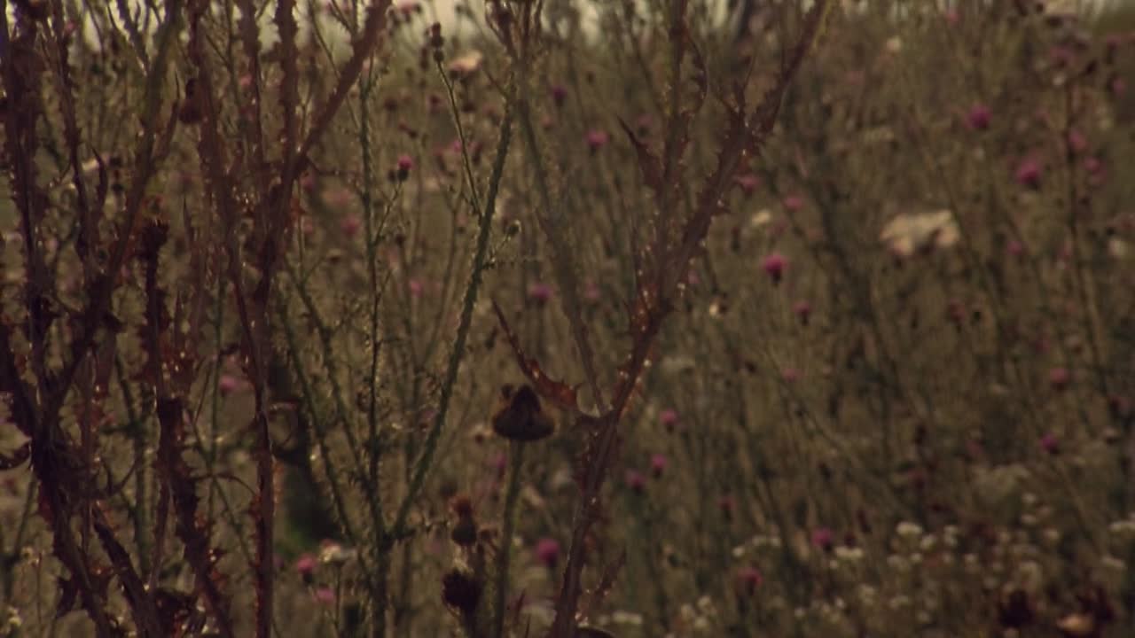 ⁣Method 2004 1080p WEBRip x264 AAC-