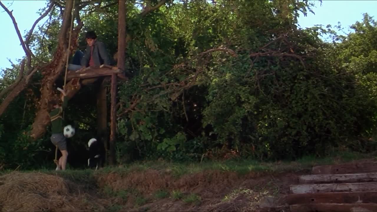 The Last of the High Kings 1996 WEBRIp x264