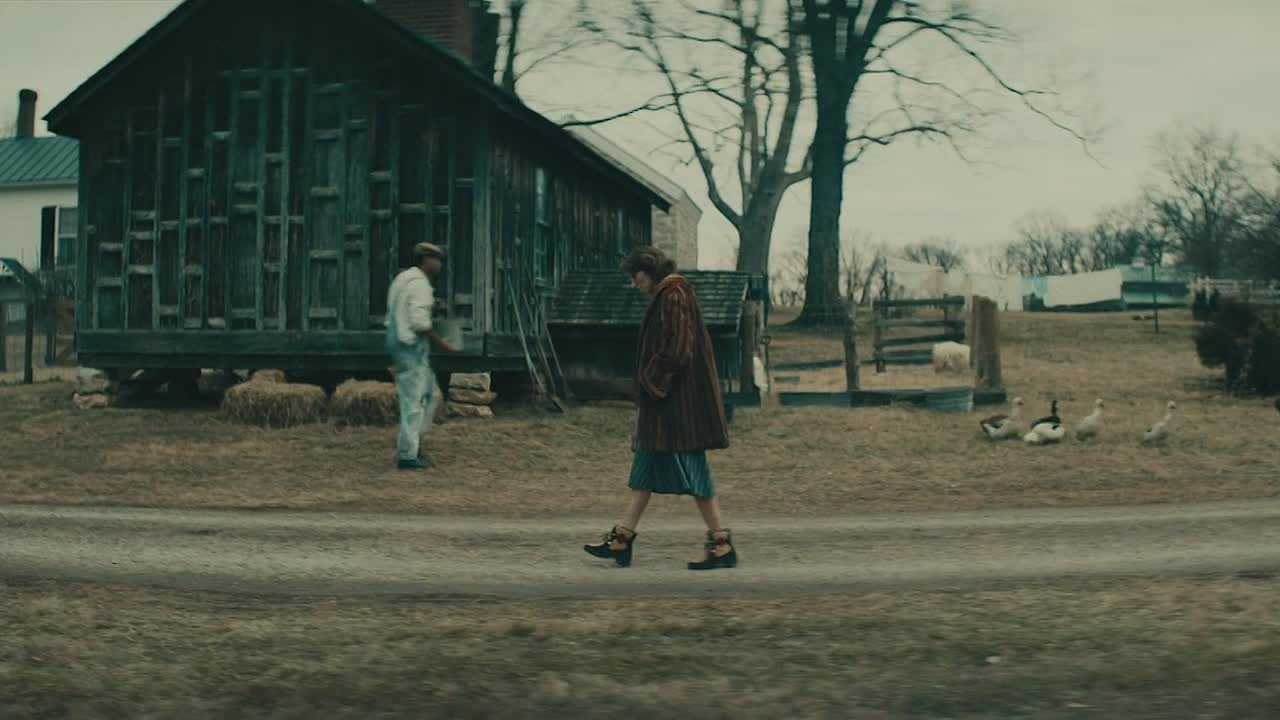 Wildcat 2023 1080p WEBRip x264 AAC-