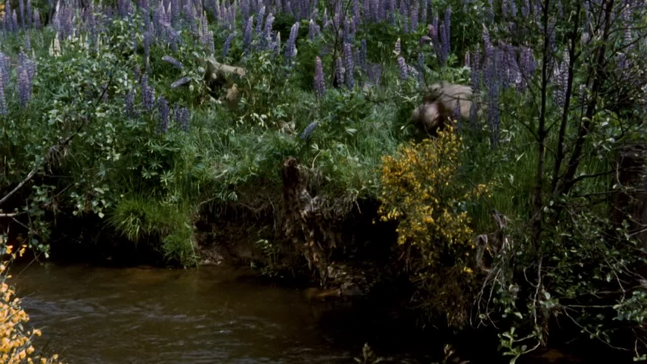 Rubezahl - Herr Der Berge 1957 GERMAN 1080p BluRay x264 AAC-