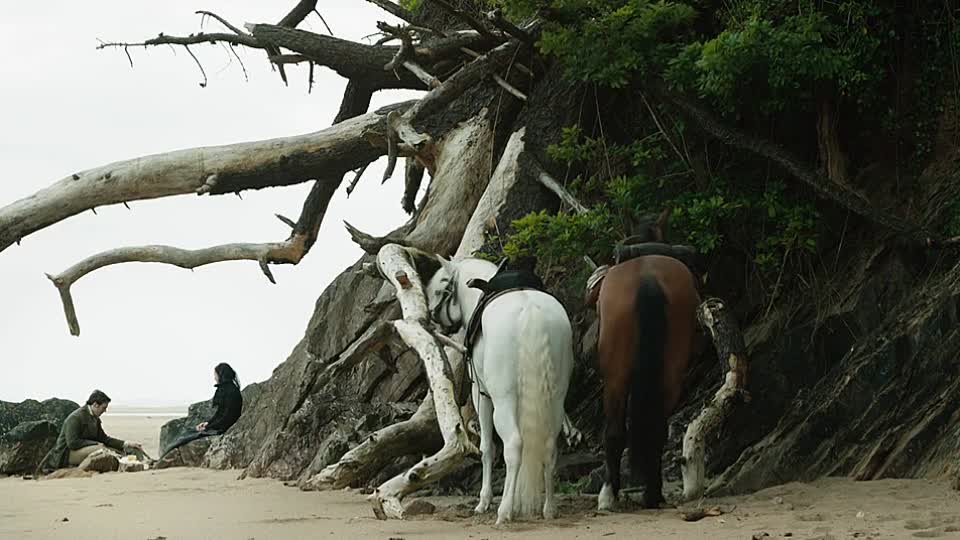 ⁣My Cousin Rachel 2017 536p WEBRip x264 AAC