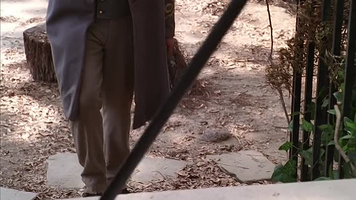 Alex Haleys Queen S01E02 (1993)