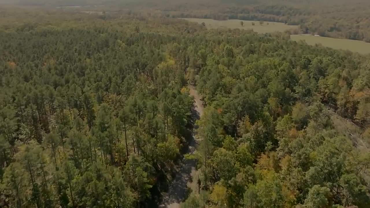 Vito Genovese & the Genovese Crime Family Documentary