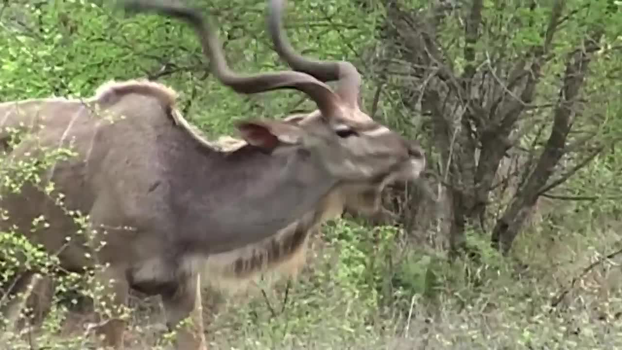 The Man Who Stole My Mother's Face