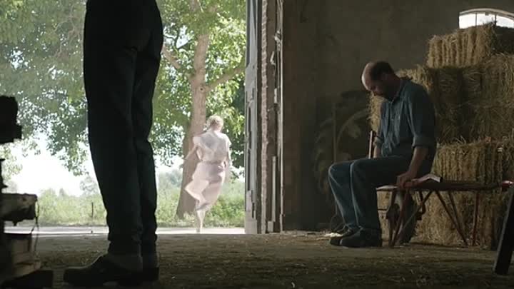 Confetti Harvest (2014)