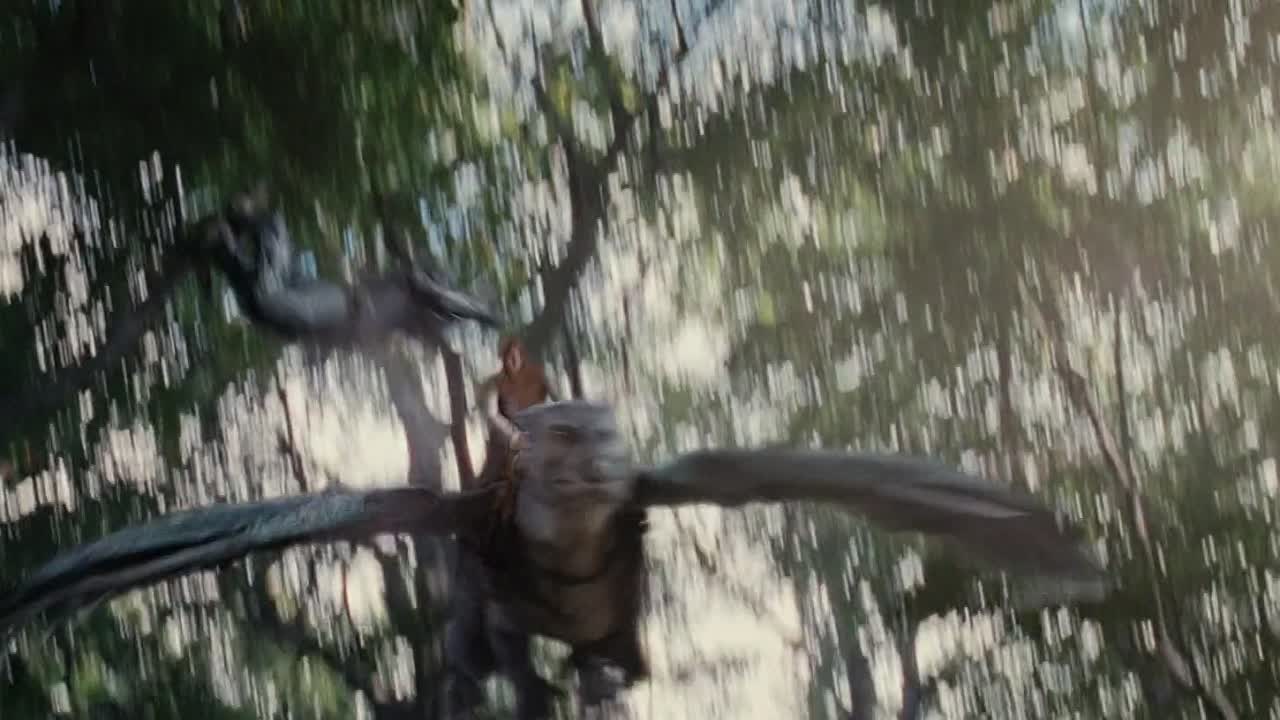 Eragon 2006 1080p BrRip x264 YIFY