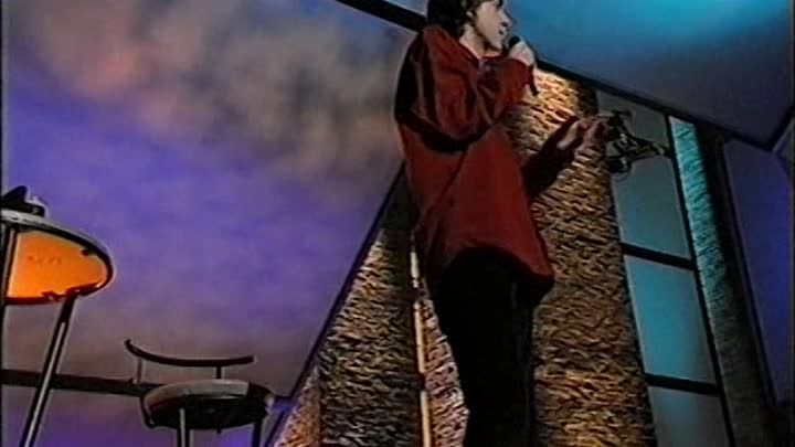 Sean Hughes - Thirty Somehow (1995) [TV-VHSrip (Xvid)]