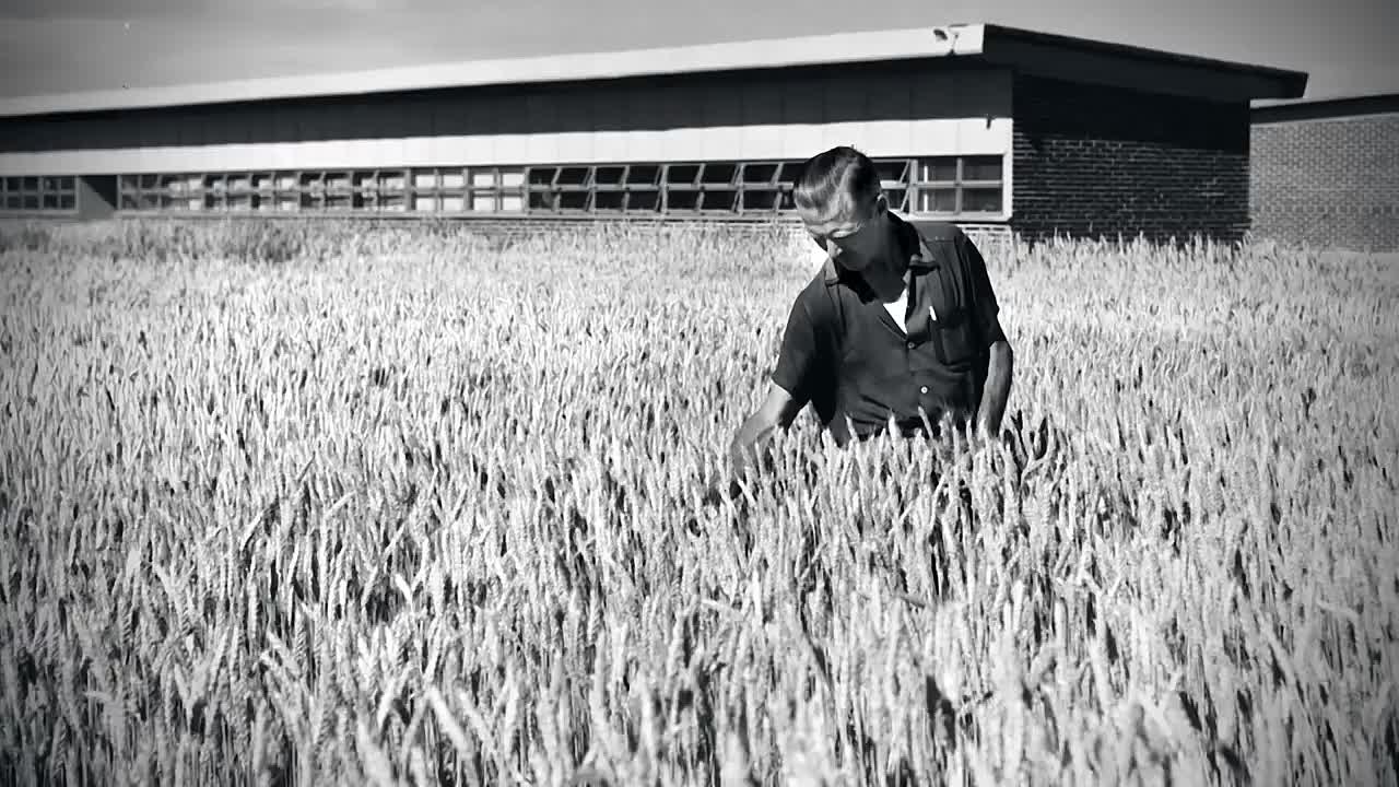 ⁣The Man Who Tried to Feed the World (2020)