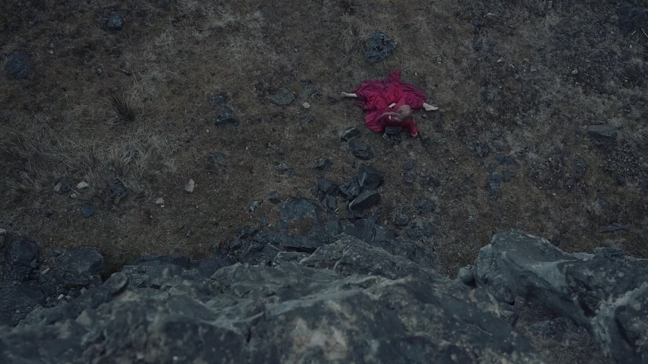 Seize Them 2024 1080p WEBRip x264 AAC5 1-