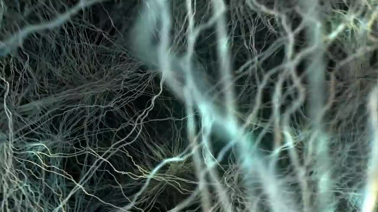 Everyone Ignores This Part of Their Body