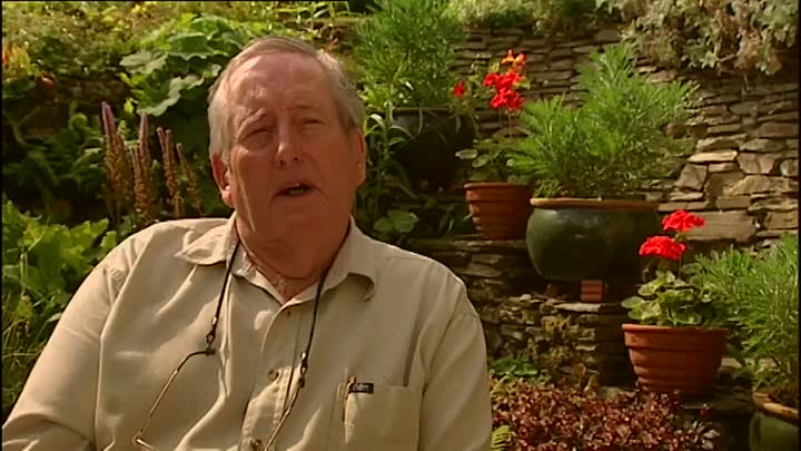 The Mystery of the Missing Wife