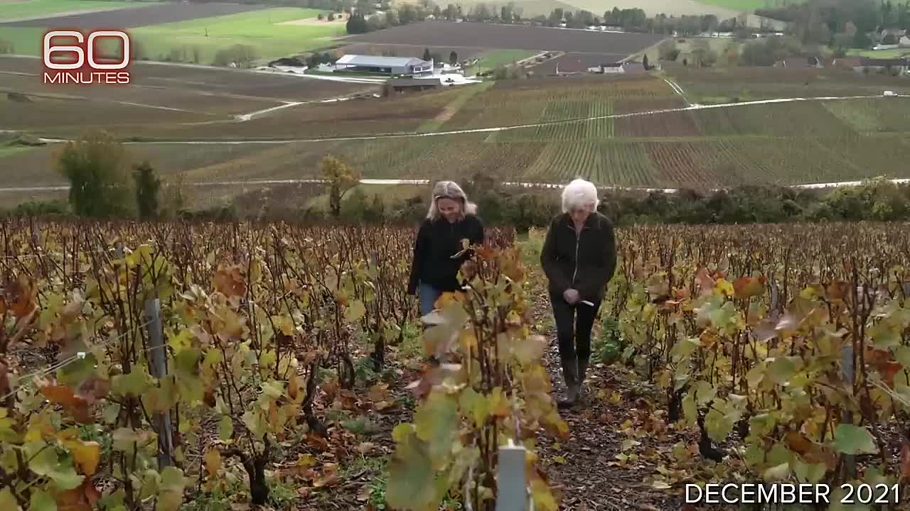 Whiskey, Rum, Wine Bars  -60 Mns