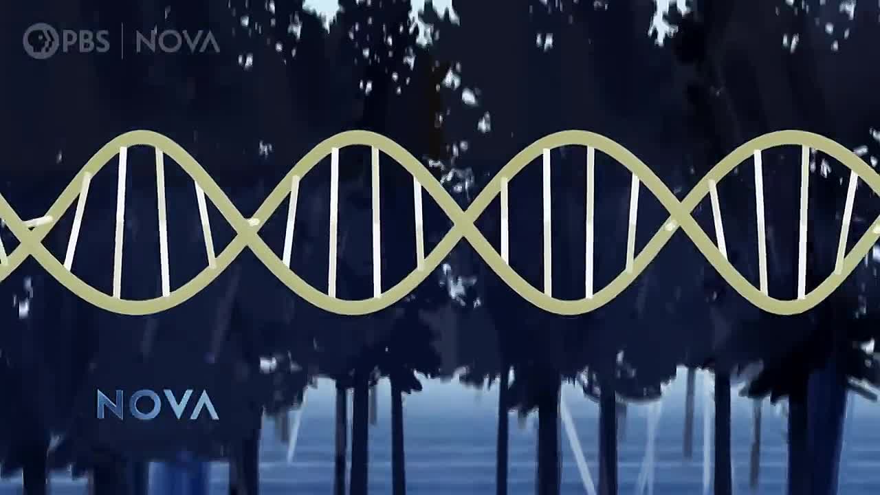 The Hunt for the Oldest DNA