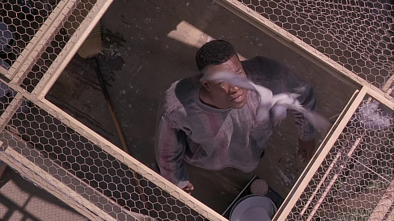 Tyson 1995 1080p WEBRip x264 AAC-