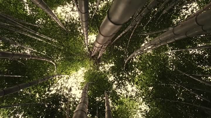 Qin Shi Huang -The First Emperor of China