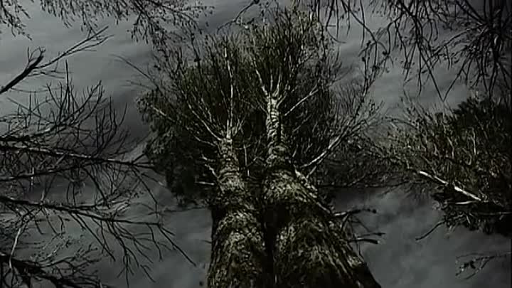 Promised Land (1987)