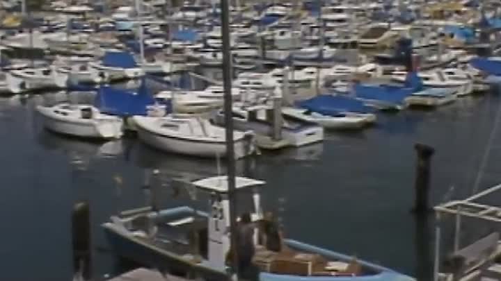 ⁣Bouillabaisse  -Dinner at Julia's