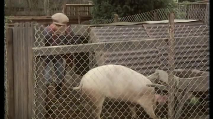 ⁣S04E06 - Sweet & Sour Charity