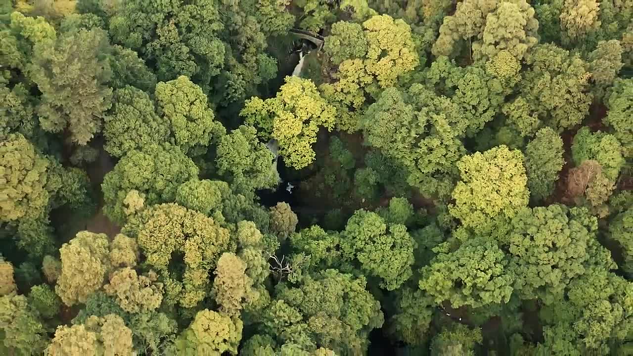 Athelstan, First King of England