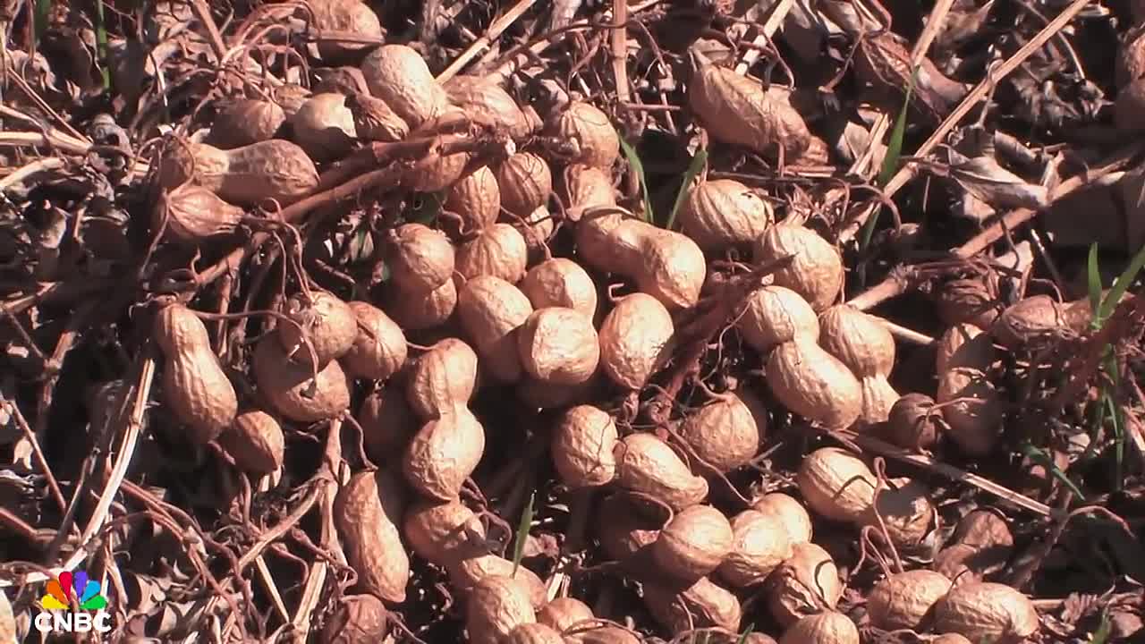 ⁣The Bad Dads of American Greed