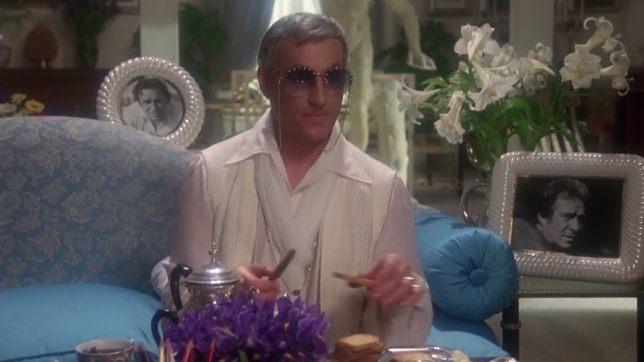 ⁣La Cage Aux Folles 1 FRENCH 1080p HDLight x264 AAC-Wawacity cam