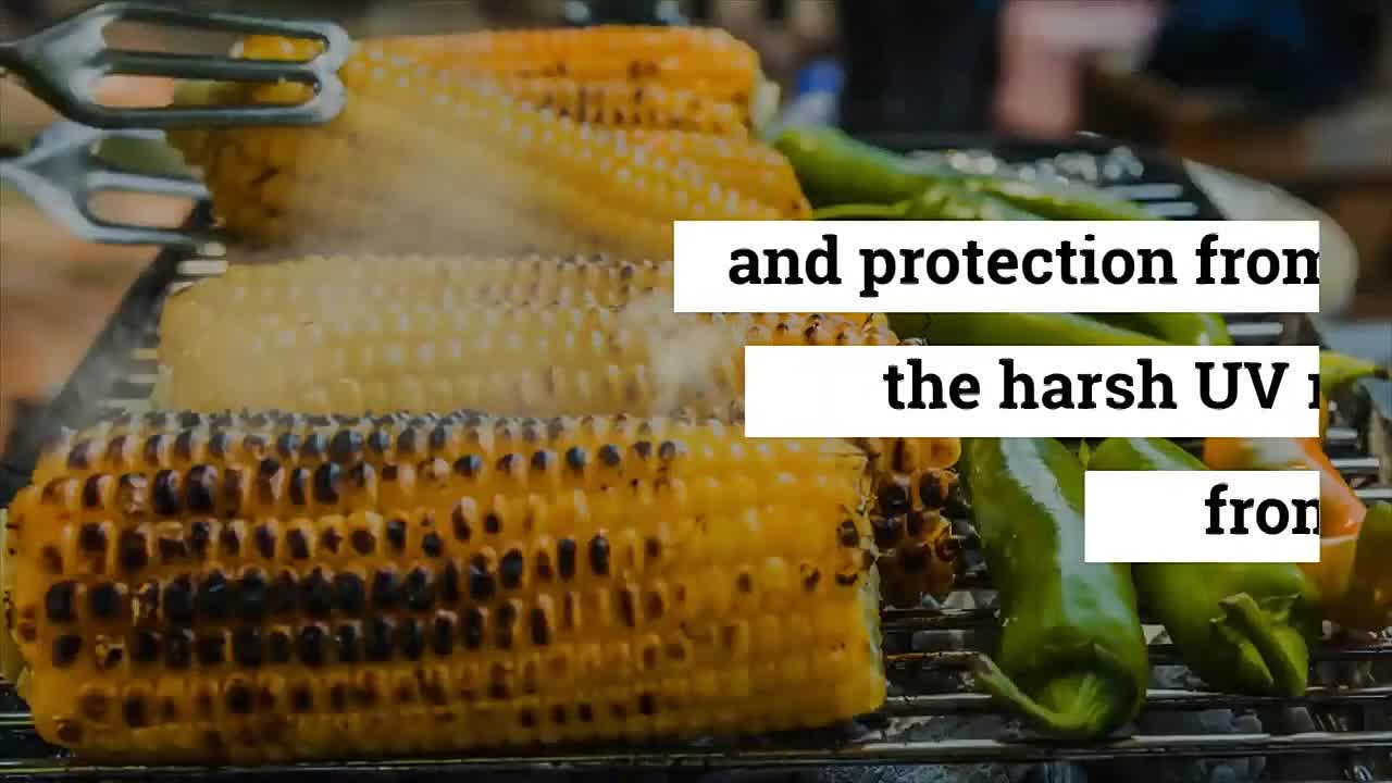 ⁣Best Foods to Eat During Summer