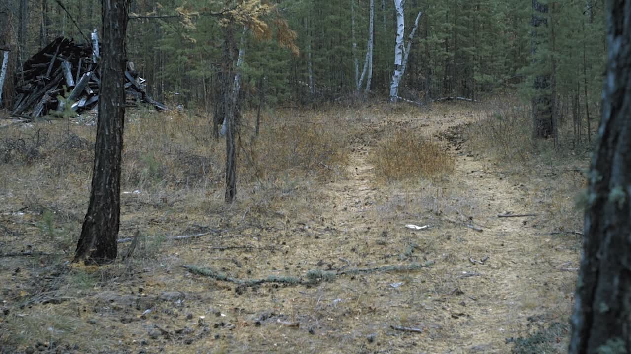 ⁣Siberian Sniper 2021 RUSSIAN HC ENG SUBS 1080p BluRay x264 AAC-