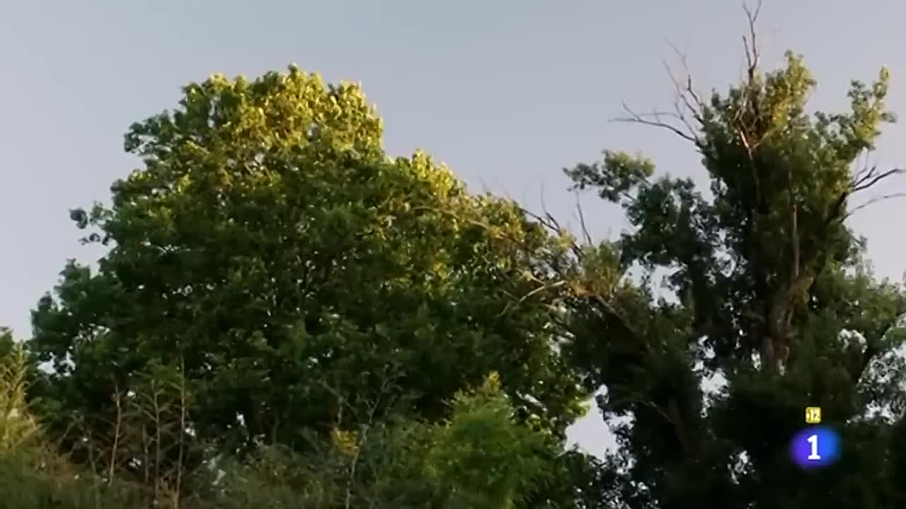 La memoria del agua (2012)