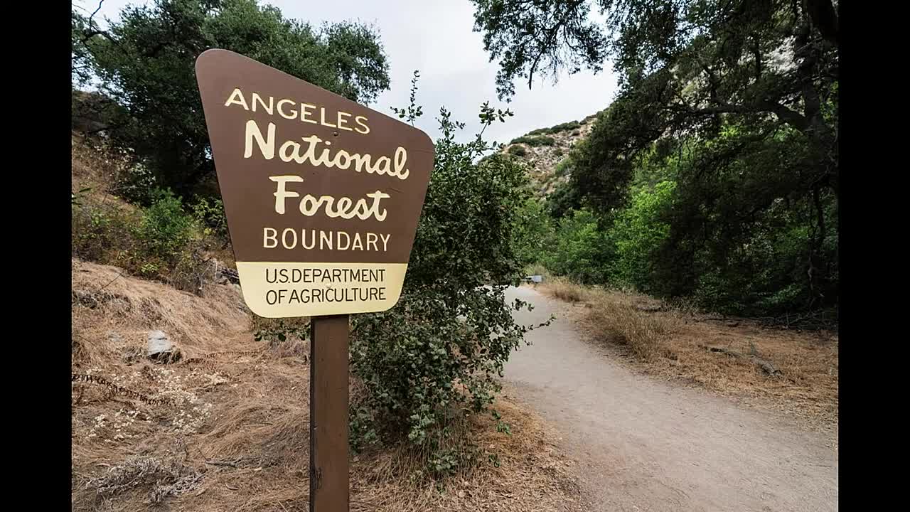 The Murder of Michele 