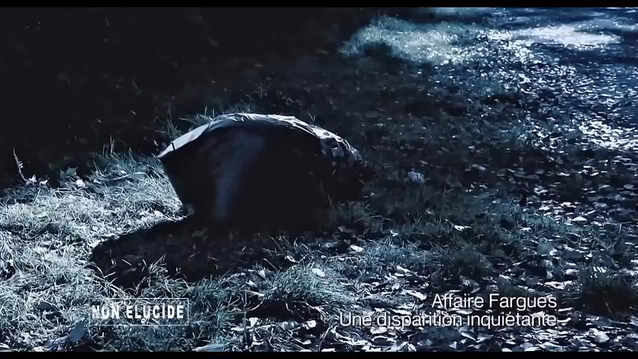 L'affaire  Fargues