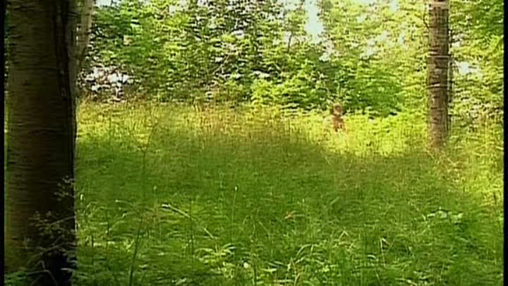 ⁣Franck Dubosc Pour Toi Public 1