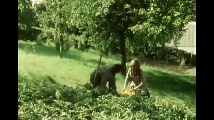 ⁣Letting the Birds Go Free (1983)