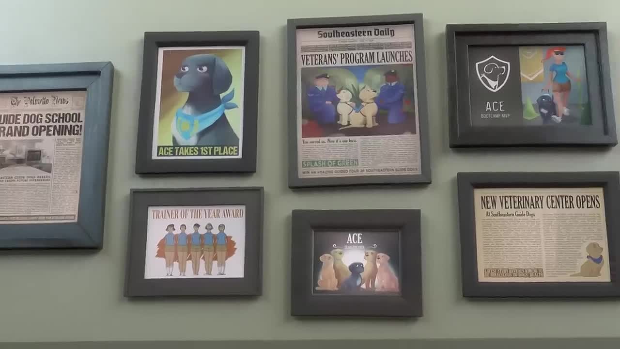 Pip -A Short Animated Film by Southeastern Guide Dogs