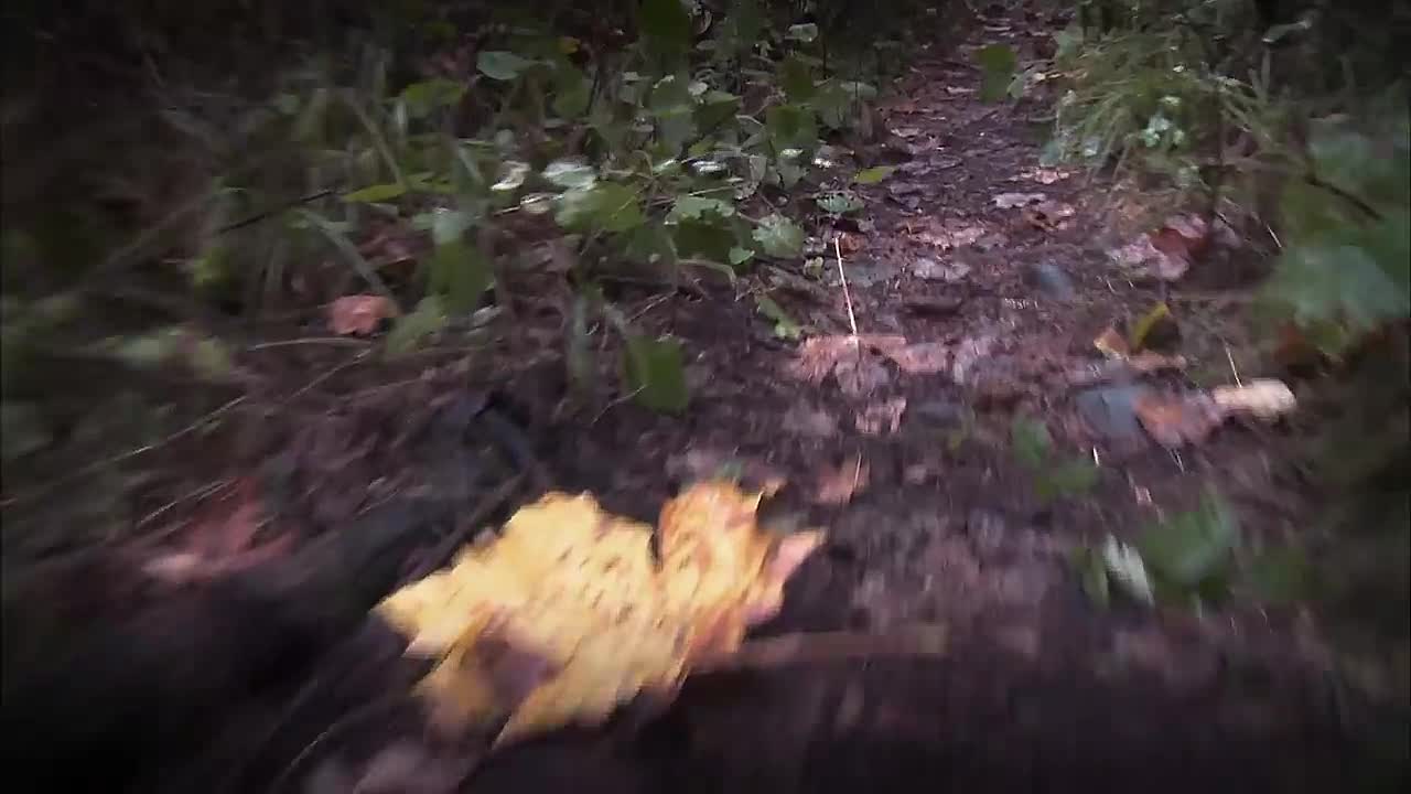 ⁣Husband Disappears Without a Trace After Nasty Argument -Deadly Wives