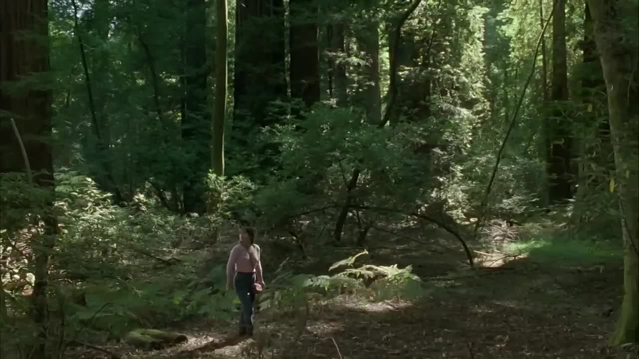 ⁣Redwood Curtain (1995)