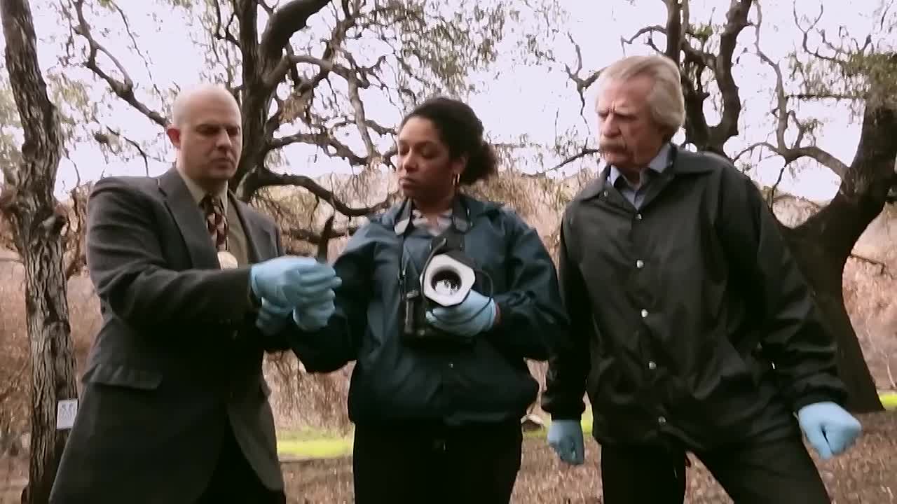 Unmasking the Killer of Cassi