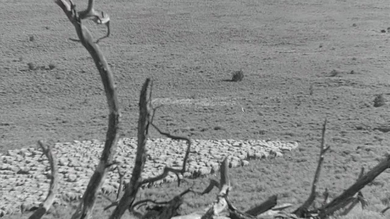 Der Kaiser Von Kalifornien 1936 1080p BluRay x264 AAC-