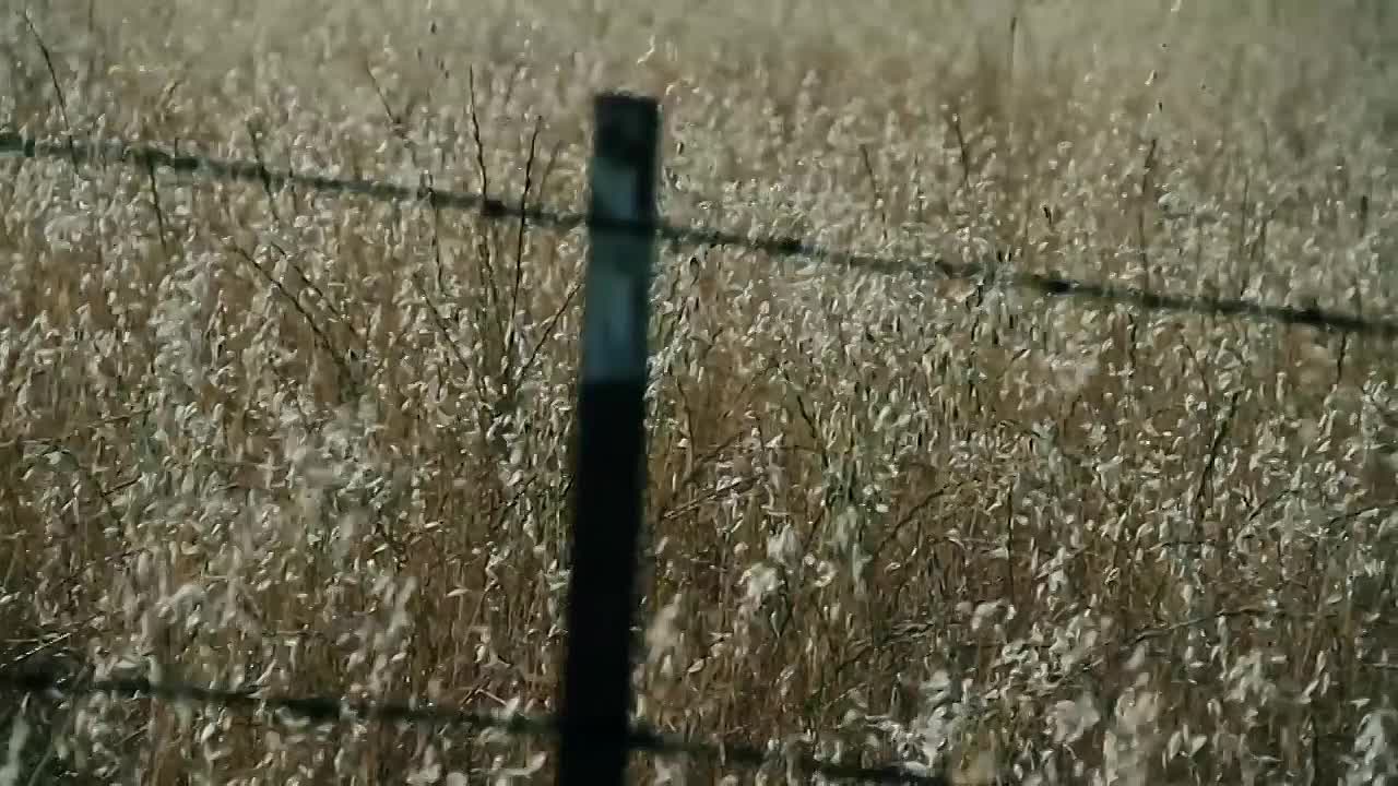 ⁣The Shocking Story Of The Love Slave Killers