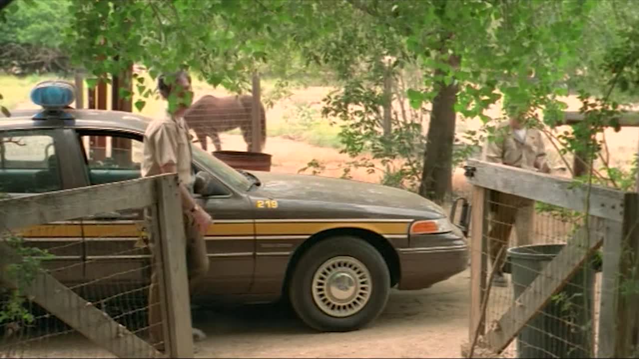 The Watermelon Heist 2003 1080p BluRay x264 AAC-