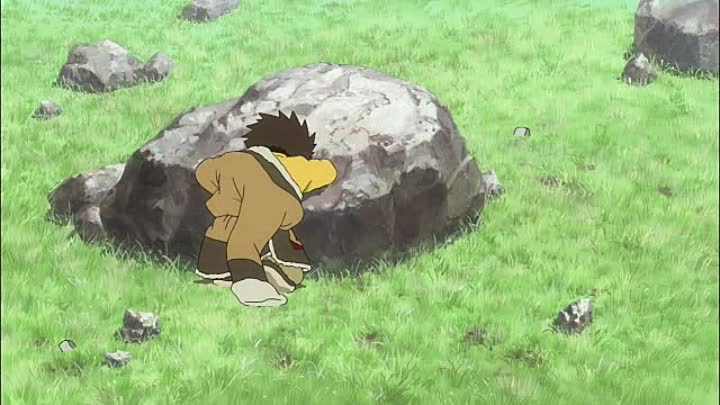 ⁣Le Chien Du Tibet 2012 FRENCH DVDRiP XViD-STVFRV