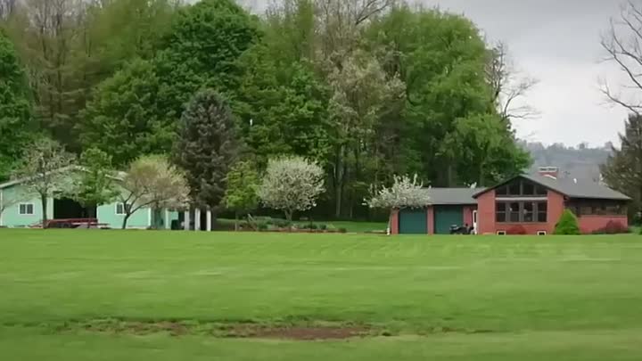 ⁣Fatal Vows -Some Like it Dead