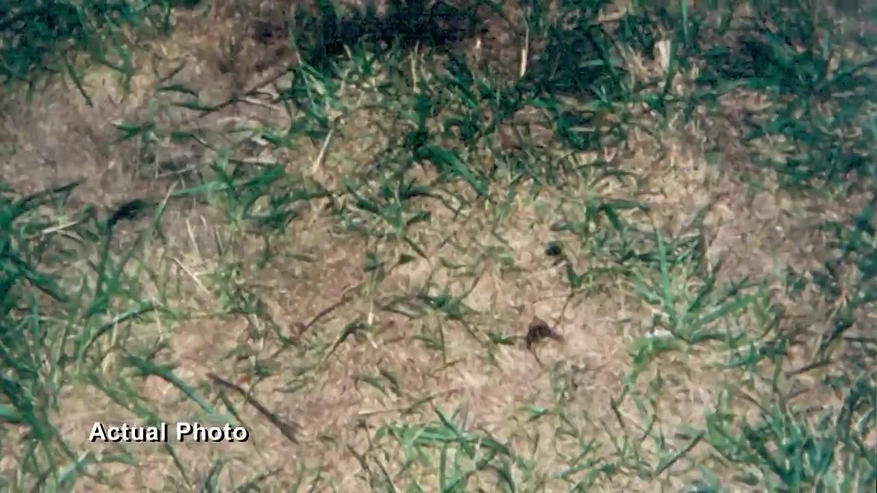 Stacey Hanna's Deadly Betrayal -Murder Among Friends