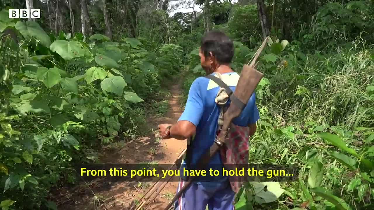 The Tsimane Amazon Tribe