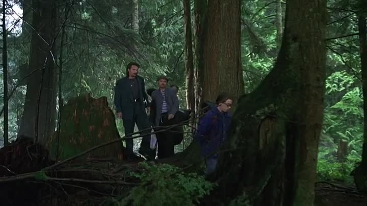 The Prisoner Of Zenda Inc. (1996)