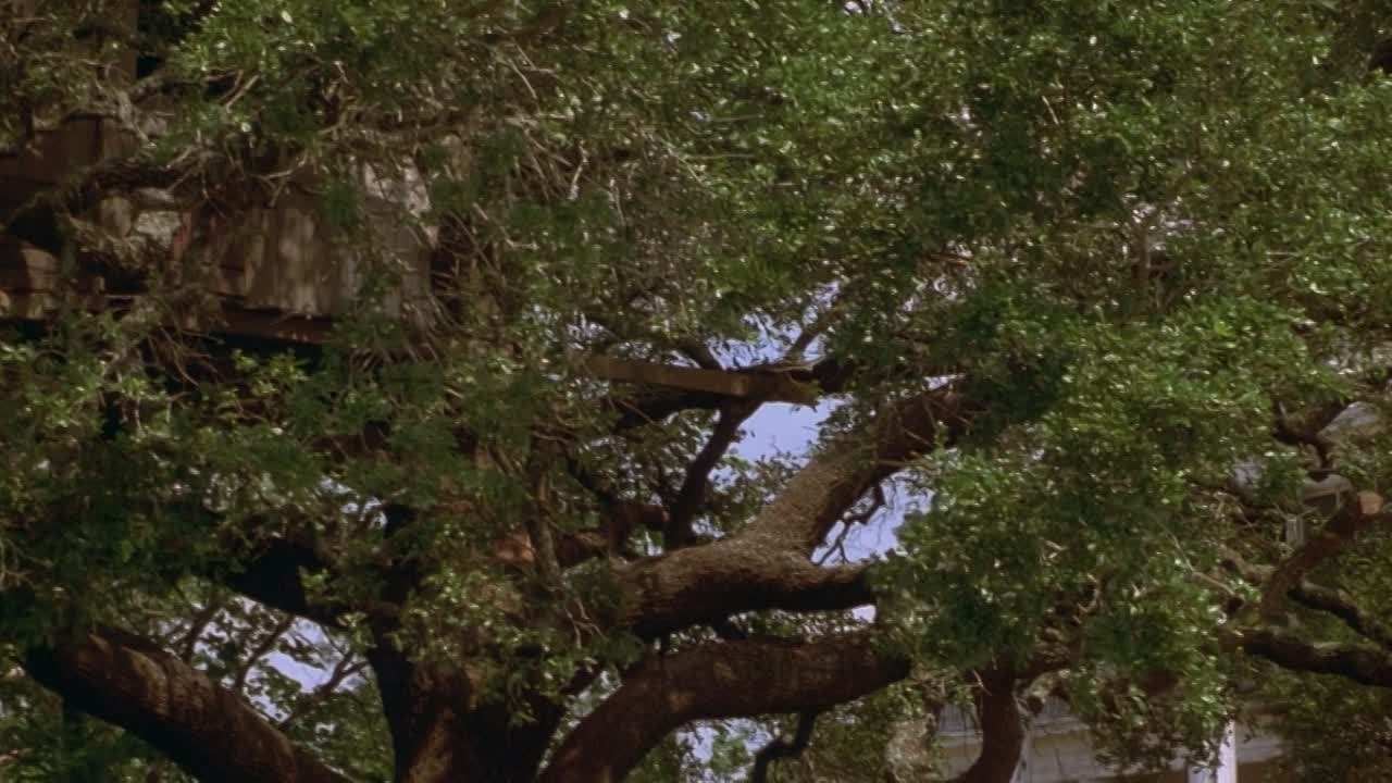 The Locusts 1997 1080p WEBRip x264 AAC-