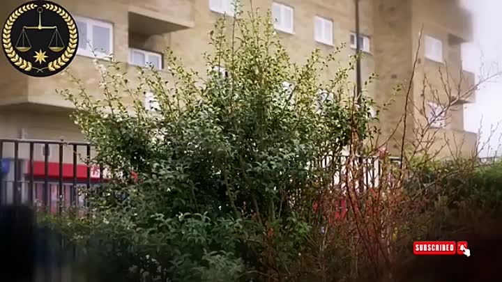 Killer in My Village -Nicky Collingbourne